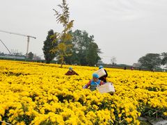 -中国天府农业博览园