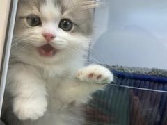 -新疆天山野生动物园