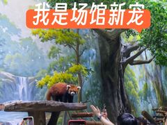 -海合安成都极地海洋公园