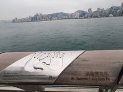-星光大道