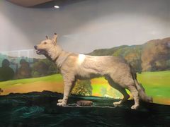 -上海公安博物馆