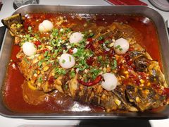 -鱼酷活鱼烤鱼(沈阳大悦城店)