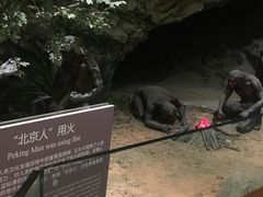 -北京周口店北京人遗址博物馆