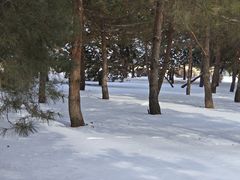 -吉林大学(前卫南校区)