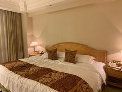 -南京维景国际大酒店(南京博物院店)