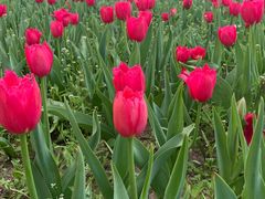 -长春公园(普阳街道)