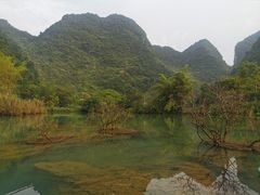 -靖西鹅泉风景区