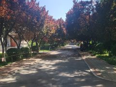 -山东师范大学(千佛山校区)