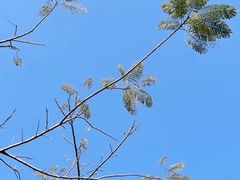 -凤岗南门山森林公园
