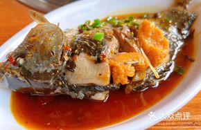 Youting Chen Crucian Carp