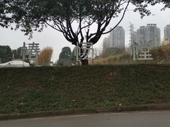 -椿杨樘·明康泡浴养生馆(重庆店)