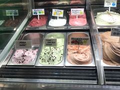 -Dooley's Premium Ice Cream