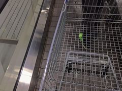 -山姆会员商店(邻瑞广场店)