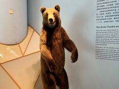 -上海自然博物馆