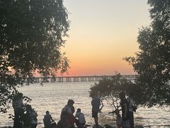 -宝安西湾红树林湿地公园