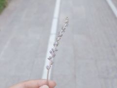 -五四广场