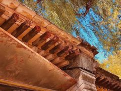 -三忘湖 SWANSEEN(柳荫公园店)