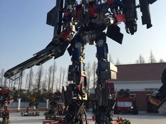 -上海长兴岛郊野公园