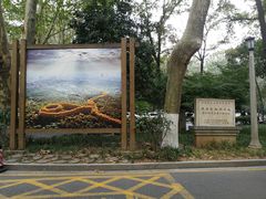 -一心甜汤(丹凤街店)