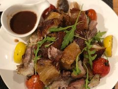 -百好乐宠物友好餐厅(朝外大街店)