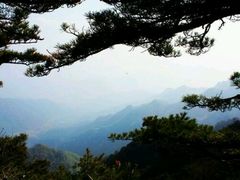 -王顺山国家森林公园