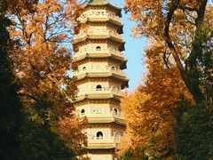 -灵谷景区