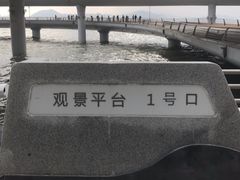 -演武大桥观景平台