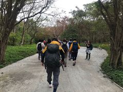 -大湾区中央湿地公园