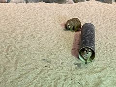 -哈尔滨极地公园