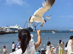 -海驴岛(荣成市)