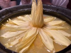 出水芙蓉-映水芙蓉(长宁来福士店)