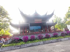 -鲁镇
