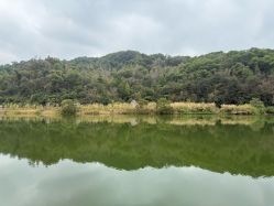 -致友月子会所旗舰店