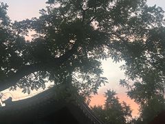 -北京国子监胡同