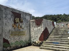-广东惠东海龟国家级自然保护区