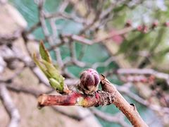 -颐和园