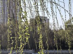 -北陵公园