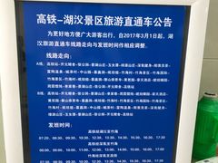 -周震馄饨