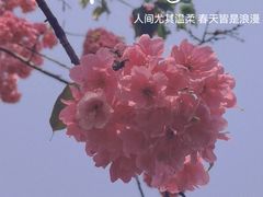 -昆明动物园