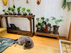 -Rabbit Cafe私房西餐甜点咖啡(栖霞路店)