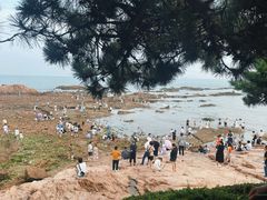 -青岛第二海水浴场