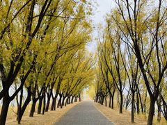 -野鸭湖国家湿地公园