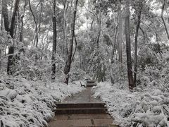 -艾溪湖湿地公园