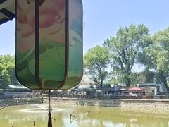 -尚庄度假村·庭台树下·户外烧烤·团建CS·轰趴营地(上庄水库店)