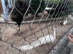 -太原动物园
