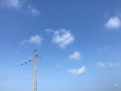 -尼甘布海鲜市场