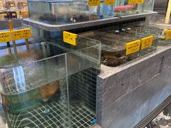 -品悦酒店(三林古镇店)