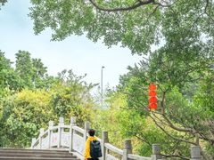 -小洲村