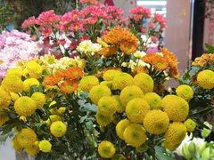 -弗劳尔花艺坊(龙涛店)