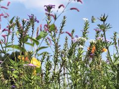 -国家植物园南园